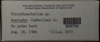 Image Associated With the Occurence